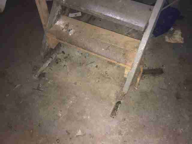 Testing again(45).jpg